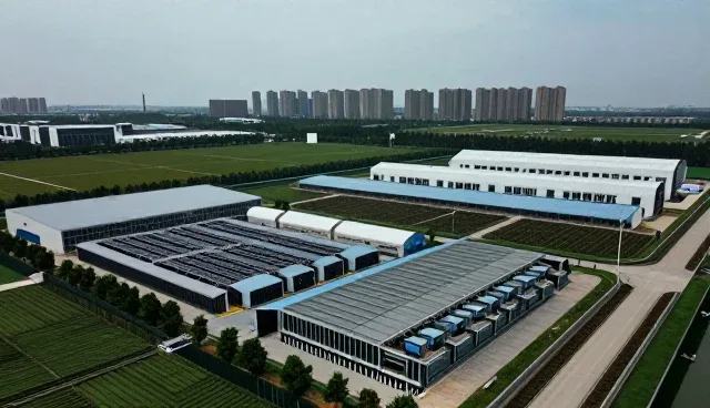 从社区服务站看SEO优化套餐应用效果